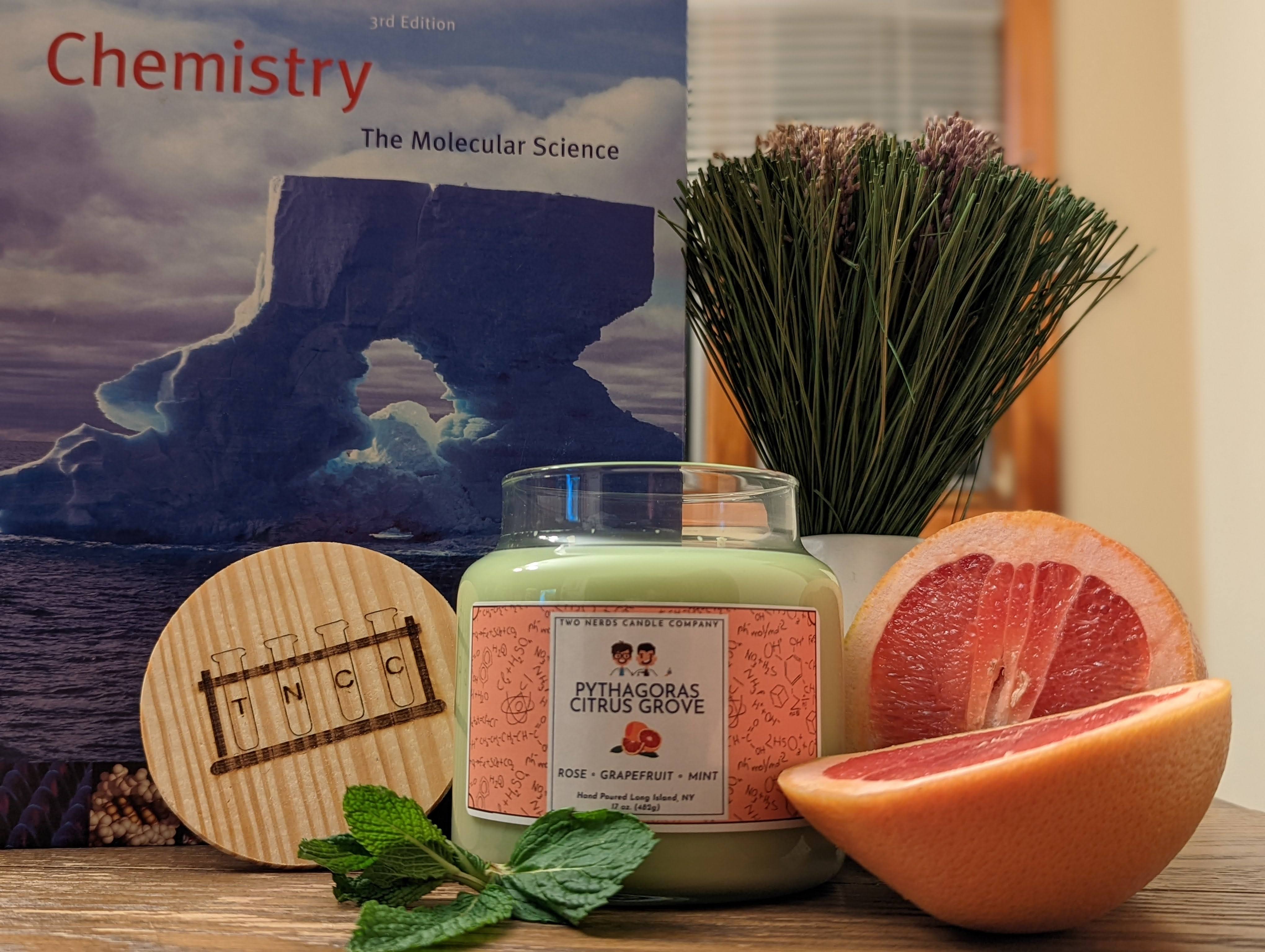 A handmade Pythagoras Citrus Grove scented soy candle with fresh mint and grapefruit and science textbooks in the background